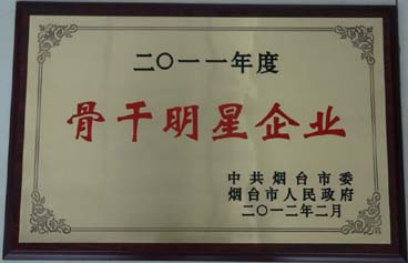 骨干明星企業(yè)