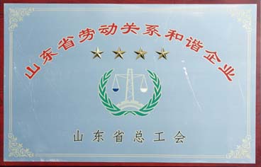 勞動(dòng)關(guān)系和諧企業(yè)