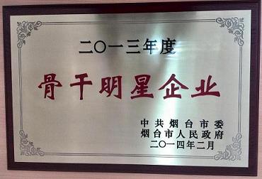 2013年度煙臺(tái)市骨干明星企業(yè)